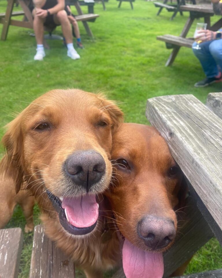 95BA0EB3-6D65-4081-984E-4CD26133B574-1