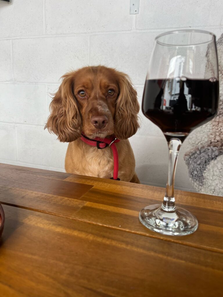 5270c375-c81f-42b3-9fb1-33b6dcf64cf6