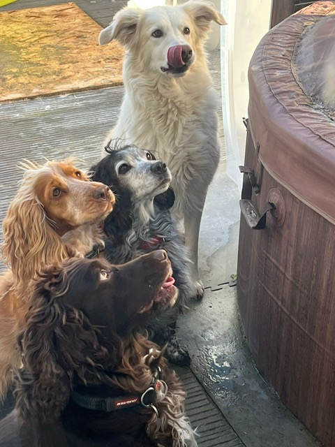 6b764a22-522a-4de6-a678-c0d6abc85976