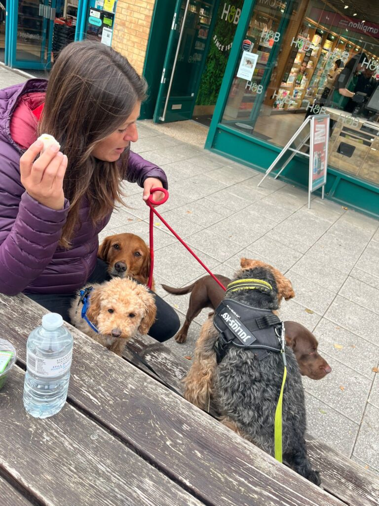 b824a4af-6401-4332-9529-7c1972c878ce